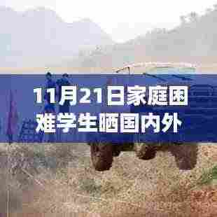 家庭困难学生旅游经历揭秘，产品特性、使用体验与目标用户分析——来自11月21日的回应