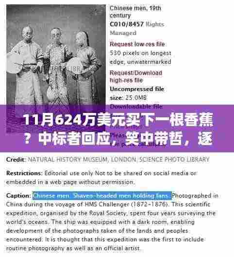 天价香蕉背后的故事，追寻内心宁静之旅的启示