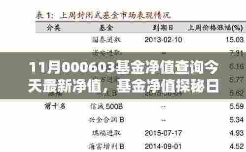 今日揭晓，11月000603基金净值探秘，友情与家庭温暖相伴的温馨净值报告