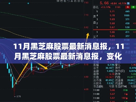 11月黑芝麻股票最新动态，变化中的学习之路，成就感的源泉，携手共创成功未来