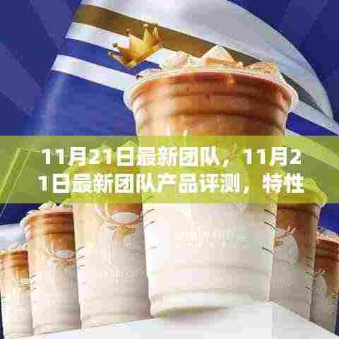 11月21日最新团队产品评测报告，特性、体验、竞品对比及用户群体深度解析