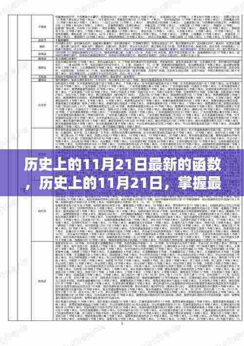 历史上的11月21日最新的函数,历史上的11月21日,掌握最新函数技能的学习指南