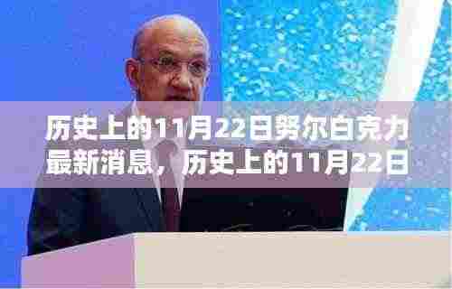 历史上的11月22日努尔白克力最新消息深度解析与观点碰撞，影响与展望