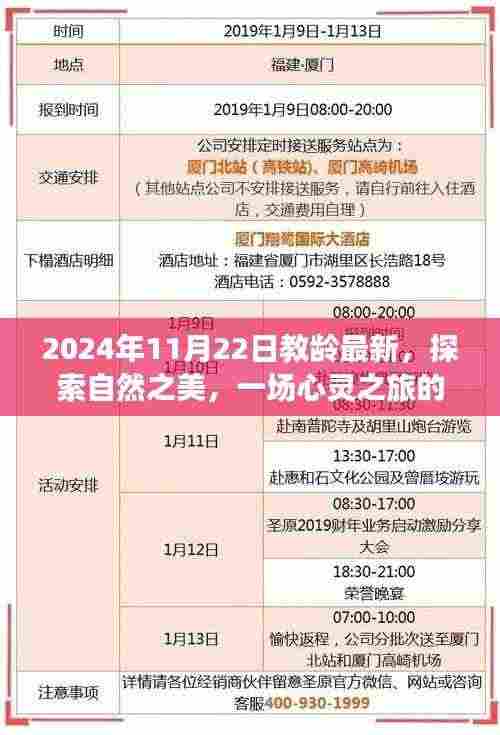 探索自然之美,开启心灵之旅的启程——纪念教龄新篇章