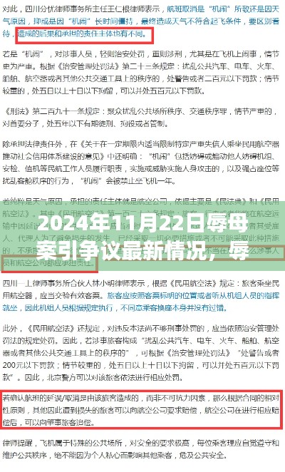 辱母案争议再起，深度剖析与观点阐述（最新情况报道）