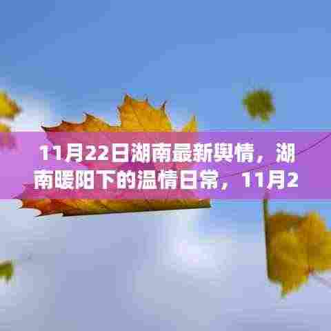 湖南温情日常，城市轻语与友情涟漪（11月22日最新舆情）