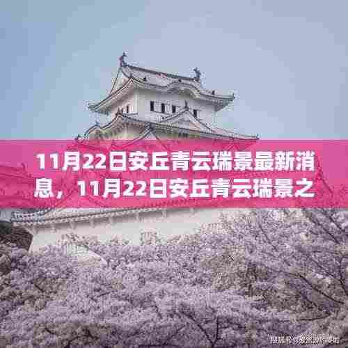 11月22日安丘青云瑞景之旅，探寻自然之美，拥抱内心宁静