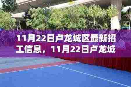 11月22日卢龙城区最新招工信息详解与评测报告