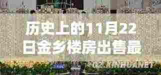 历史上的今天，揭秘金乡楼房出售最新消息，独家报道于11月22日