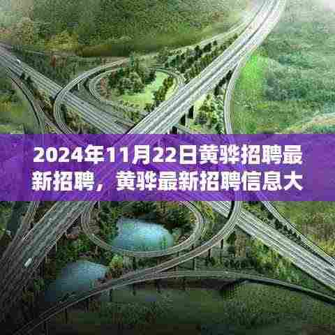 黄骅最新招聘信息揭秘，求职者的福音，2024年11月22日