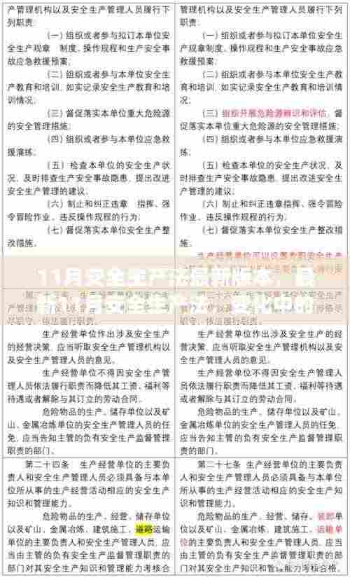 最新11月安全生产法,变革之力,安全之锚