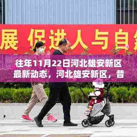 河北雄安新区历年11月22日最新动态，昔日蓝图成现实进展探析