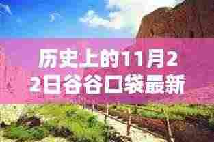 谷谷口袋最新版革新之路，历史上的11月22日回顾