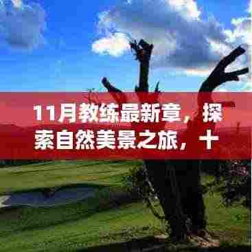 新闻动态 第593页