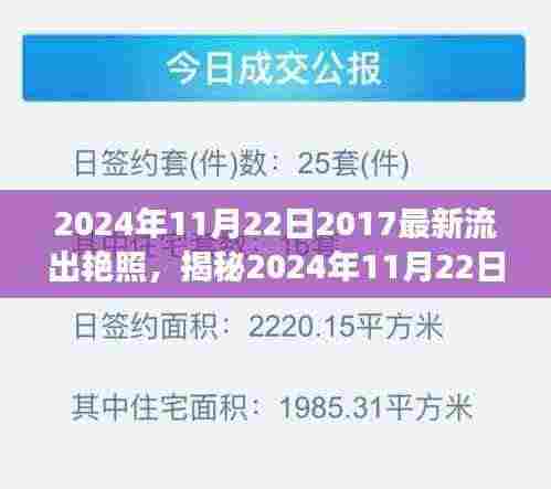 揭秘2024年11月22日艳照流出事件，探索背后的秘密与故事