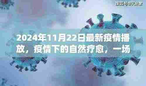 2024年11月22日最新疫情播放，疫情下的自然疗愈，一场寻找内心平静的奇妙旅行，2024年11月22日的美丽新世界