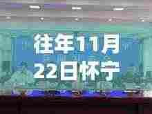 往年11月22日怀宁案件深度剖析与观点阐述，最新案例分析报告