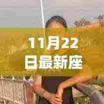 深度解析与评测，最新座签摆放产品指南（11月22日更新）