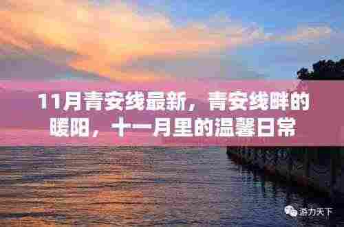 青安线畔的暖阳，十一月温馨日常