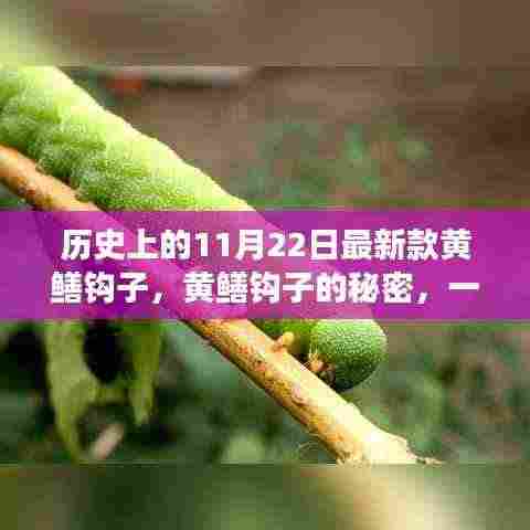 草间求活 第4页