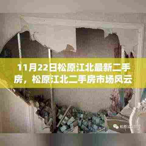 松原江北二手房市场最新动态解读，风云再起，11月22日最新房源解析
