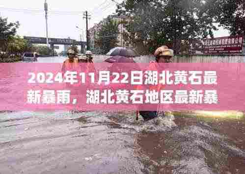 湖北黄石最新暴雨事件深度测评与介绍，2024年11月22日暴雨实况分析