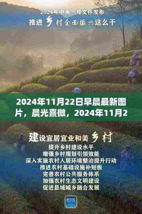 晨光熹微，探索早晨图片的诞生与影响