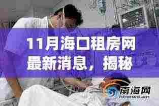 海口租房市场最新动态揭秘，11月租房网消息全面解读