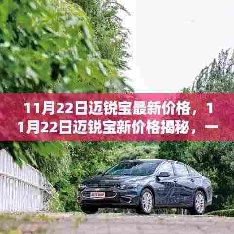 11月22日迈锐宝新价格揭秘，自然美景下的心灵之旅