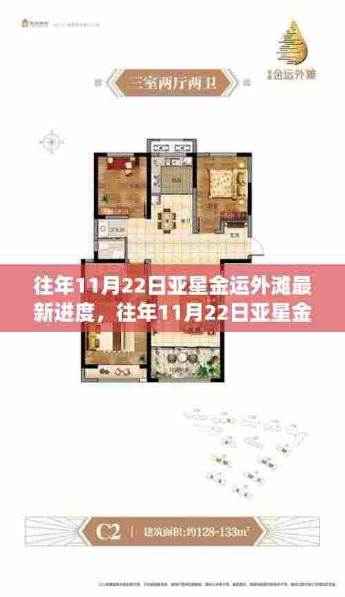 往年11月22日亚星金运外滩建设进度实时更新与最新进展概览