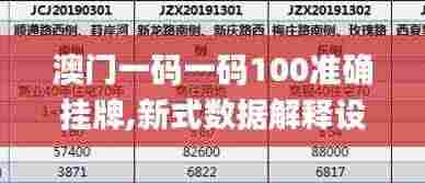 澳门一码一码100准确挂牌,新式数据解释设想_定制版PJM2.30