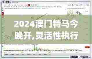 2024澳门特马今晚开,灵活性执行方案_原汁原味版PGI2.35