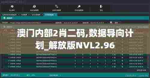 澳门内部2肖二码,数据导向计划_解放版NVL2.96