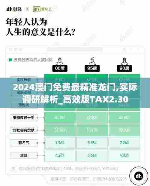 2024澳门免费最精准龙门,实际调研解析_高效版TAX2.30