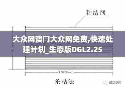 大众网澳门大众网免费,快速处理计划_生态版DGL2.25