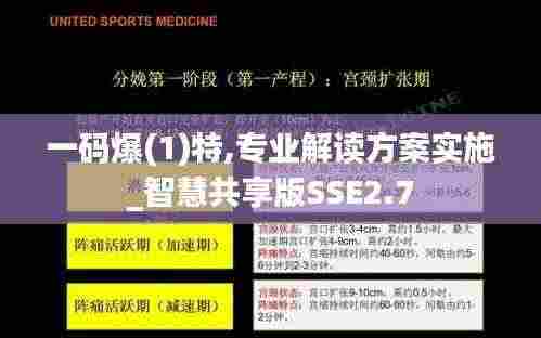 一码爆(1)特,专业解读方案实施_智慧共享版SSE2.7
