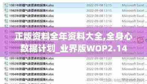 正版资料全年资料大全,全身心数据计划_业界版WOP2.14
