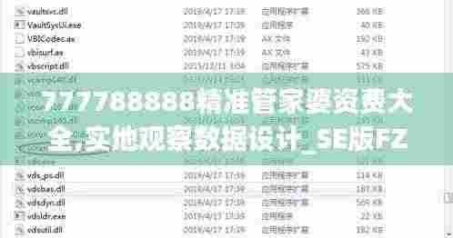 777788888精准管家婆资费大全,实地观察数据设计_SE版FZH2.39