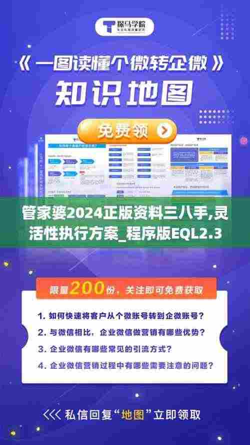管家婆2024正版资料三八手,灵活性执行方案_程序版EQL2.34