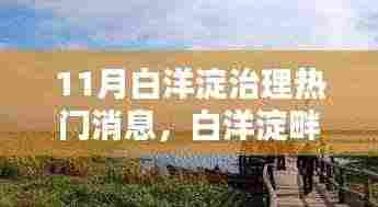 11月白洋淀治理热门消息，白洋淀畔的治理奇遇，十一月的那抹温情与友情