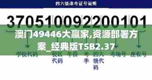 澳门49446大赢家,资源部署方案_经典版TSB2.37