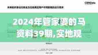 2024年管家婆的马资料39期,实地观察数据设计_影音体验版NPA2.33