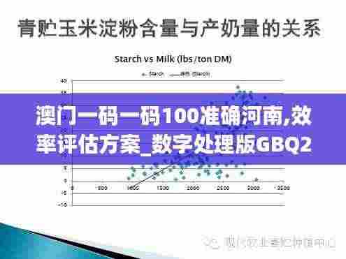 澳门一码一码100准确河南,效率评估方案_数字处理版GBQ2.13