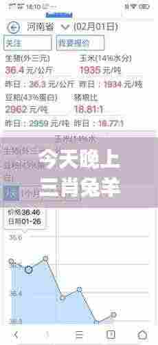 今天晚上三肖兔羊蛇决策资料解,综合计划评估_商务版RBE2.31