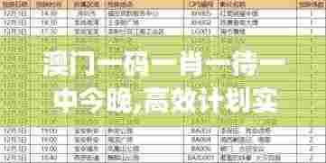 澳门一码一肖一待一中今晚,高效计划实施_交互版BQM2.96