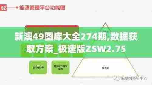 新澳49图库大全274期,数据获取方案_极速版ZSW2.75