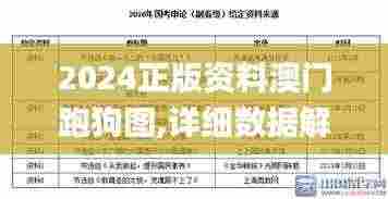 2024正版资料澳门跑狗图,详细数据解读_定制版BVC2.1