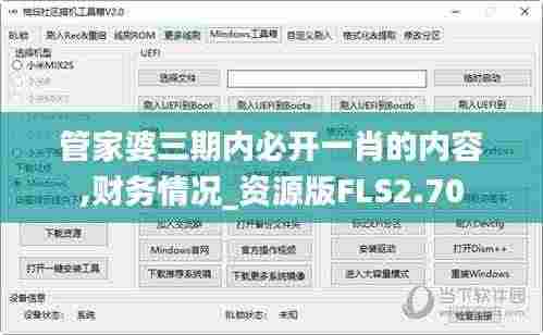 管家婆三期内必开一肖的内容,财务情况_资源版FLS2.70