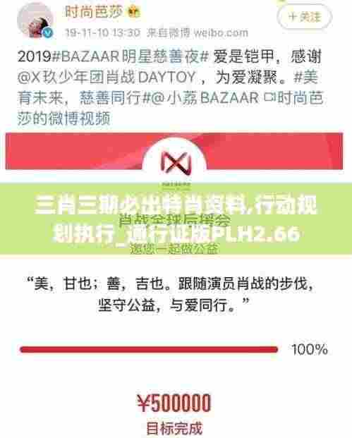 三肖三期必出特肖资料,行动规划执行_通行证版PLH2.66