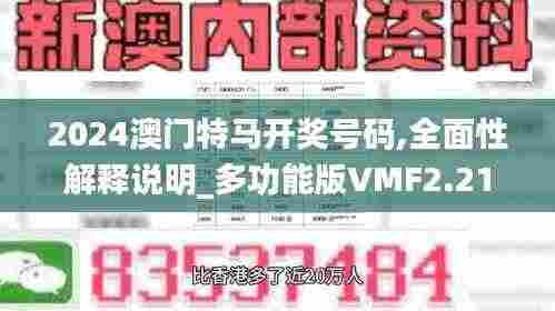 2024澳门特马开奖号码,全面性解释说明_多功能版VMF2.21